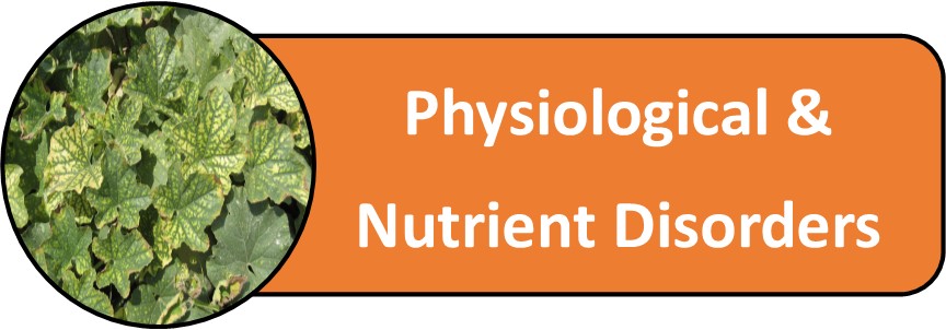 Physiological & Nutritional Disorders